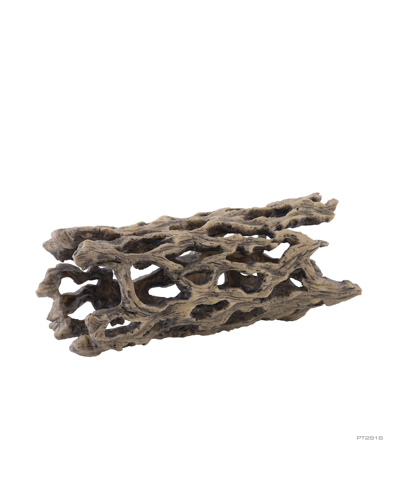 Exo Terra Exo Terra Cholla Cactus Medium