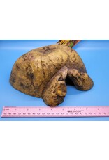 Exo Terra Exo Terra Reptile Cave Md