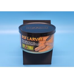 Exo Terra Exo Terra Black Soldier Fly Larvae 1.2oz