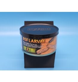 Exo Terra Exo Terra BSF Larvae 1.2oz