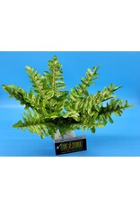 Exo Terra Exo Terra Boston Fern Small