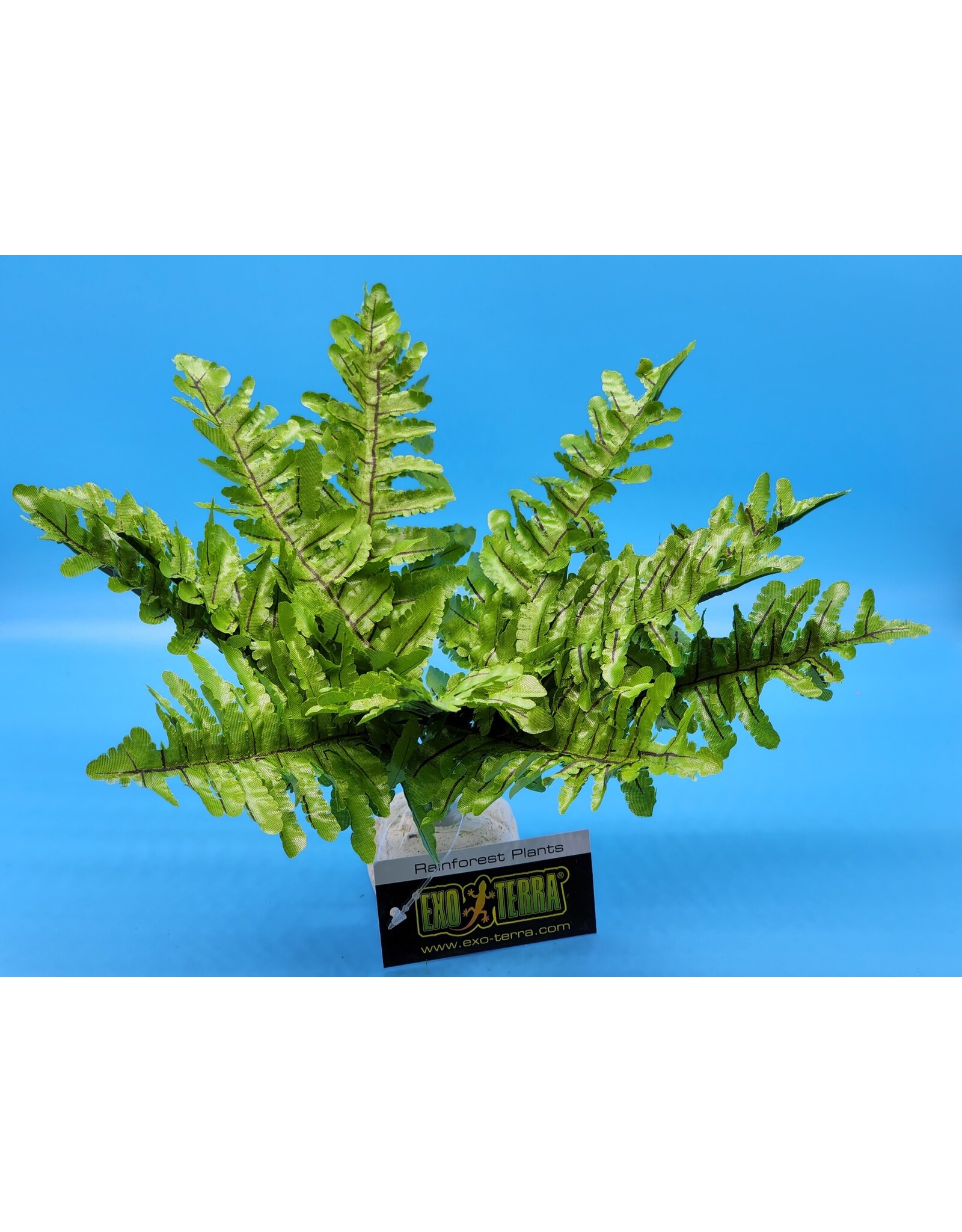 Exo Terra Exo Terra Boston Fern Small