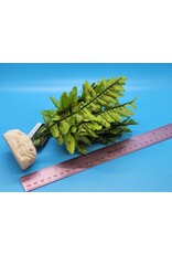 Exo Terra Exo Terra Boston Fern Small