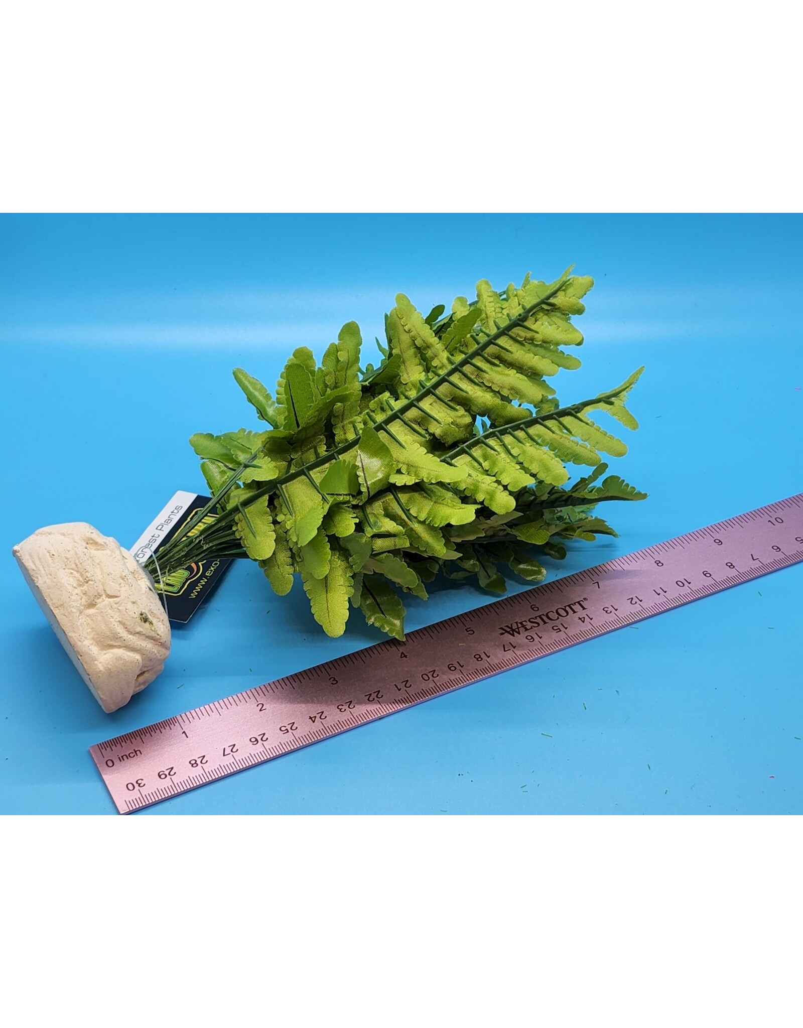 Exo Terra Exo Terra Boston Fern Small
