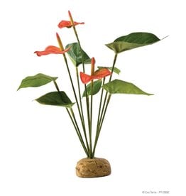 Exo Terra Exo Terra  Anthurium Bush