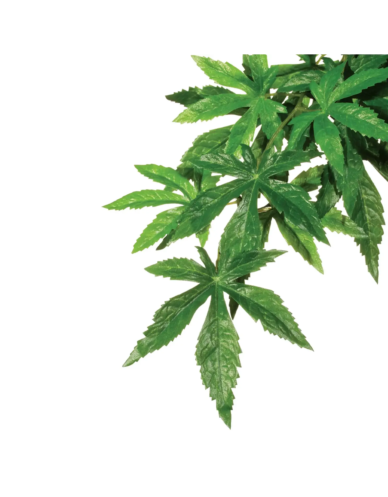 Exo Terra Exo Terra Large Abutilon Jungle Plant