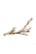 Exo Terra Exo Terra Forest Branch Small