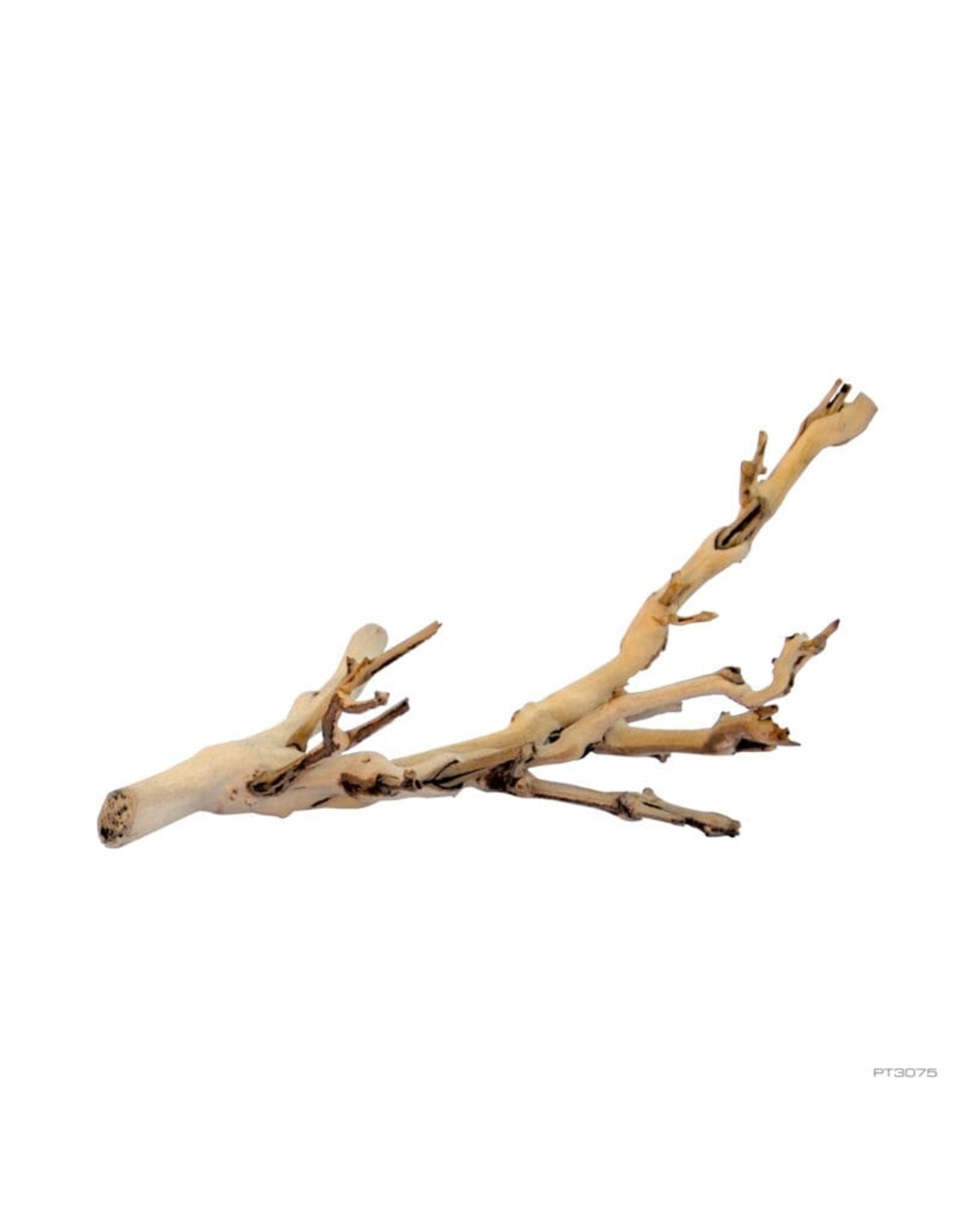 Exo Terra Exo Terra Forest Branch Small