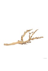 Exo Terra Exo Terra Forest Branch Medium
