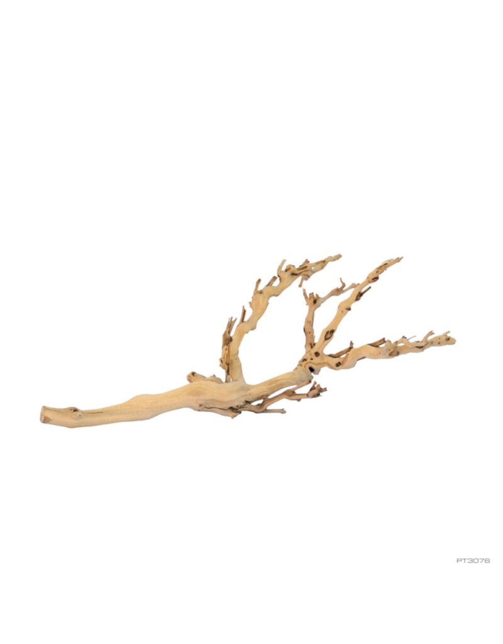 Exo Terra Exo Terra Forest Branch Medium