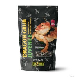 Exo Terra Exo Terra Dragon Grub Juvenile 8.8oz