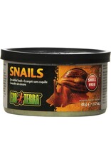 Exo Terra Exo Terra Canned Snails 1.7oz
