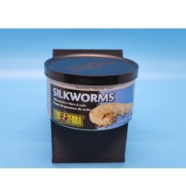 Exo Terra Silkworms 1.2oz