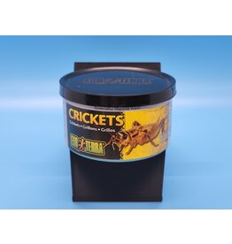 Exo Terra Exo Terra Crickets 1.2oz