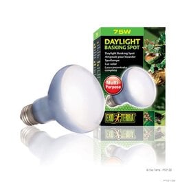 Exo Terra Exo Terra Daylight Basking Spot 75W