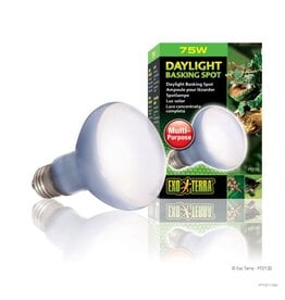 Exo Terra Exo Terra Daylight Bulb 75W