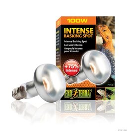 Exo Terra Exo Terra Intense Basking 100W