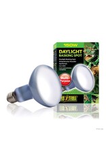 Exo Terra Exo Terra Daylight Bulb 150W