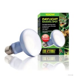 Exo Terra Exo Terra Daylight Bulb 100W