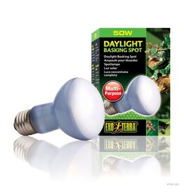 Exo Terra Daylight Bulb 50W