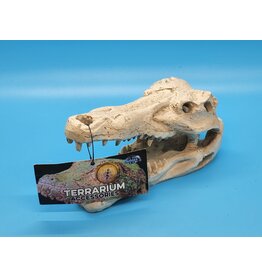Pangea Pangea Crocodile Skull S