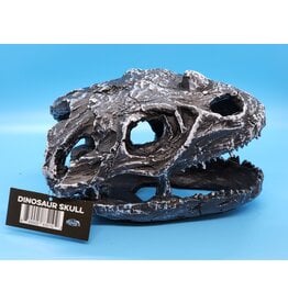 Pangea Pangea Dino Skull