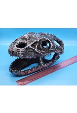 Pangea Pangea Dino Skull
