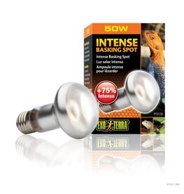 Exo Terra Exo Terra Intense Basking Spot 50W