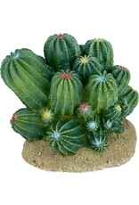 Komodo Bush Cactus 4"