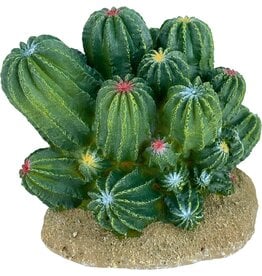 Komodo Bush Cactus 4"