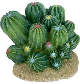 Komodo Komodo Barrel Cactus 4"