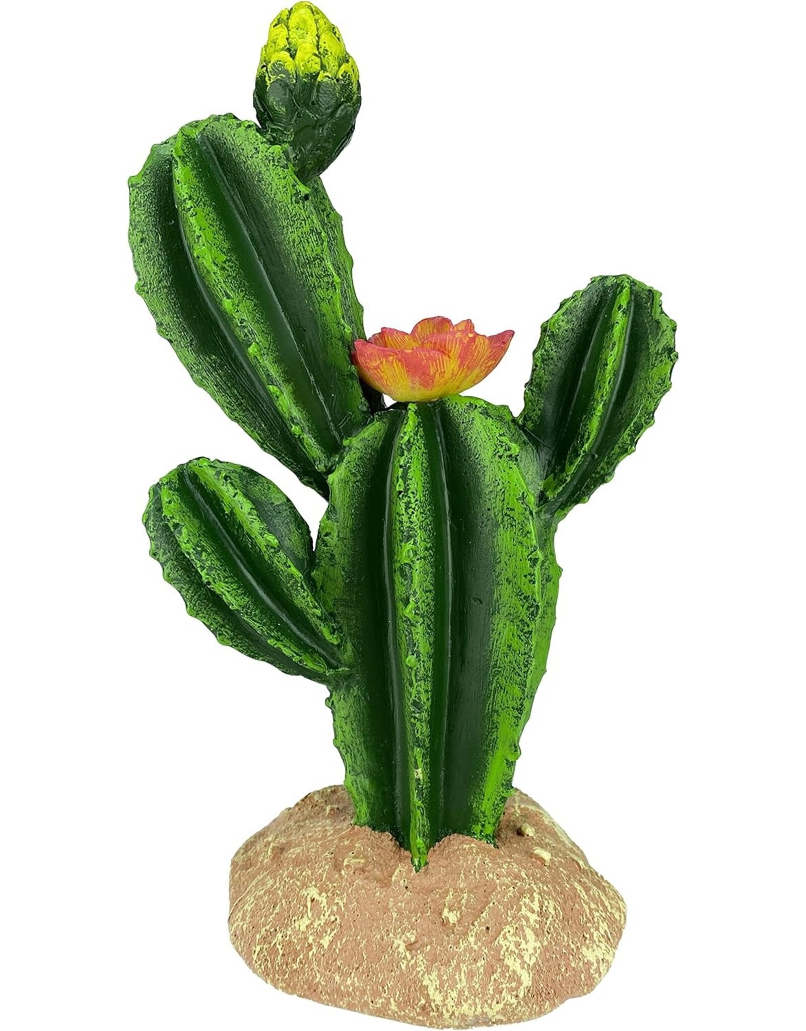 Cactus w/ Flower - 9 in Komodo