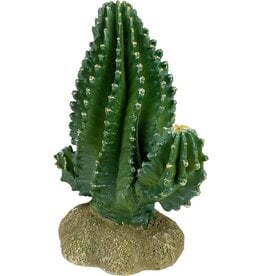Columnar Cactus - 5.9 in Komodo