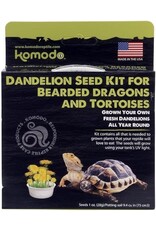 Grow your own Dandelion Komodo