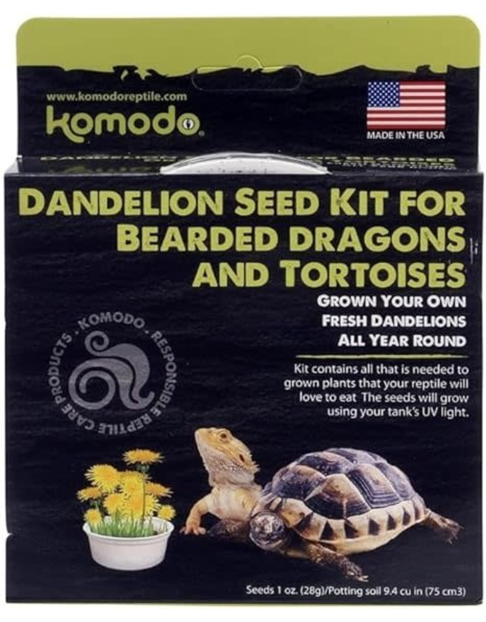 Grow your own Dandelion Komodo