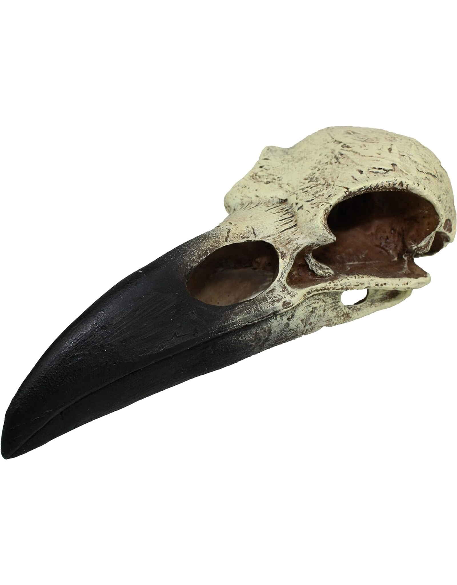 Komodo Raven Skull Lg.