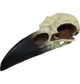 Komodo Raven Skull Lg.