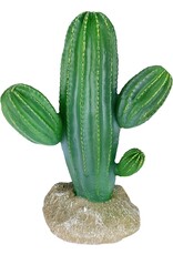 Komodo Saguaro cactus - 9.5 in