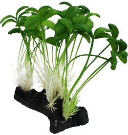 Komodo Komodo Sprouts Decor