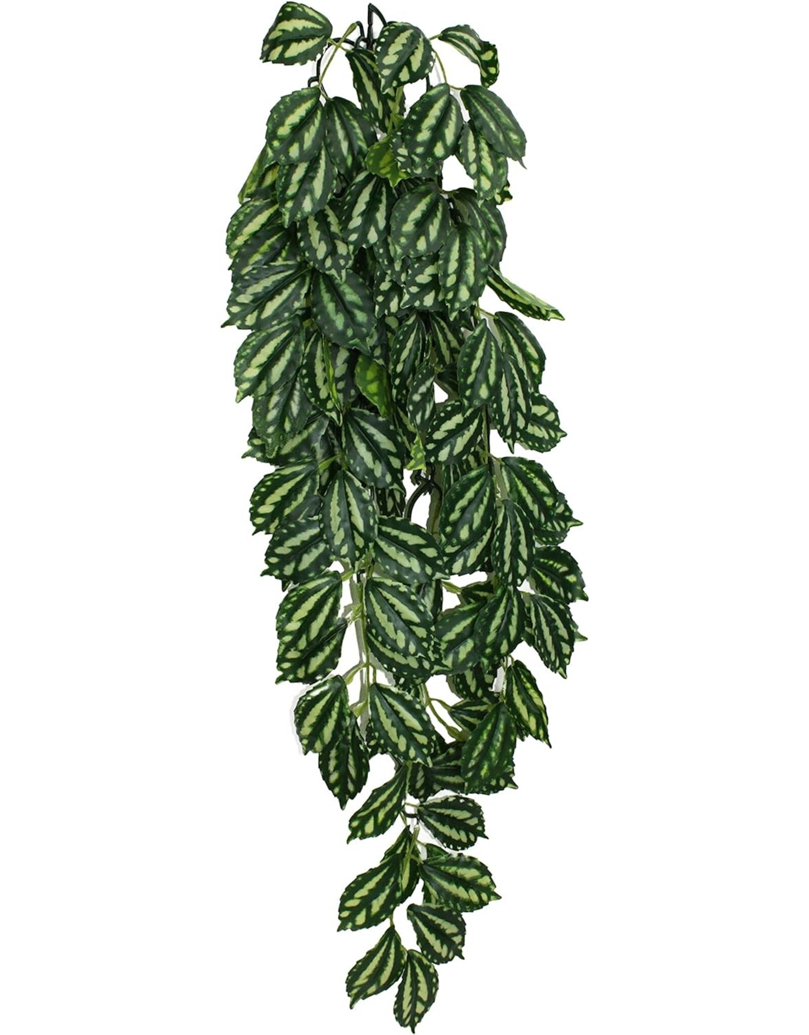 Komodo Two-Tone Leaf Climbing Plant Lg