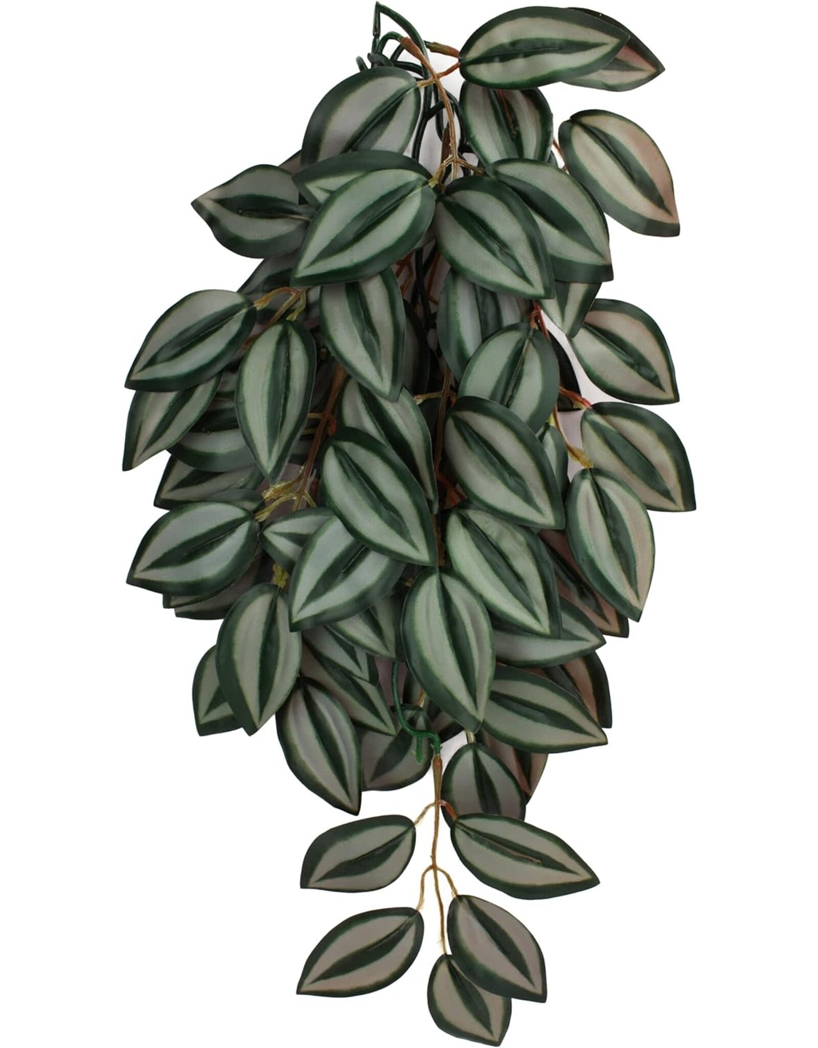 Komodo Komodo Zebrina Hanging Plant Large 26"