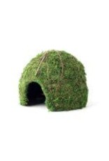 Galapagos Pet Galapagos Green Mossy Dome 9"