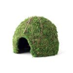 Galapagos Pet Galapagos Green Mossy Dome 6