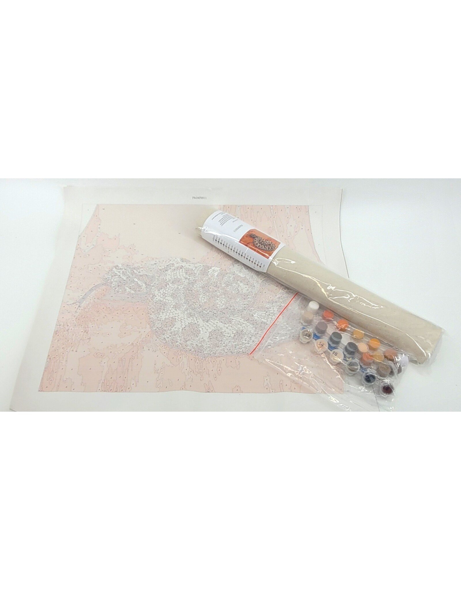 Snake Discovery Reptile Paint-by-Numbers Kit – Snake Discovery Exclusive