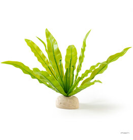 Exo Terra Exo Terra Bird's Nest Fern