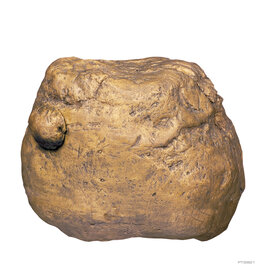 Exo Terra Exo Terra Cricket Feeding Rock