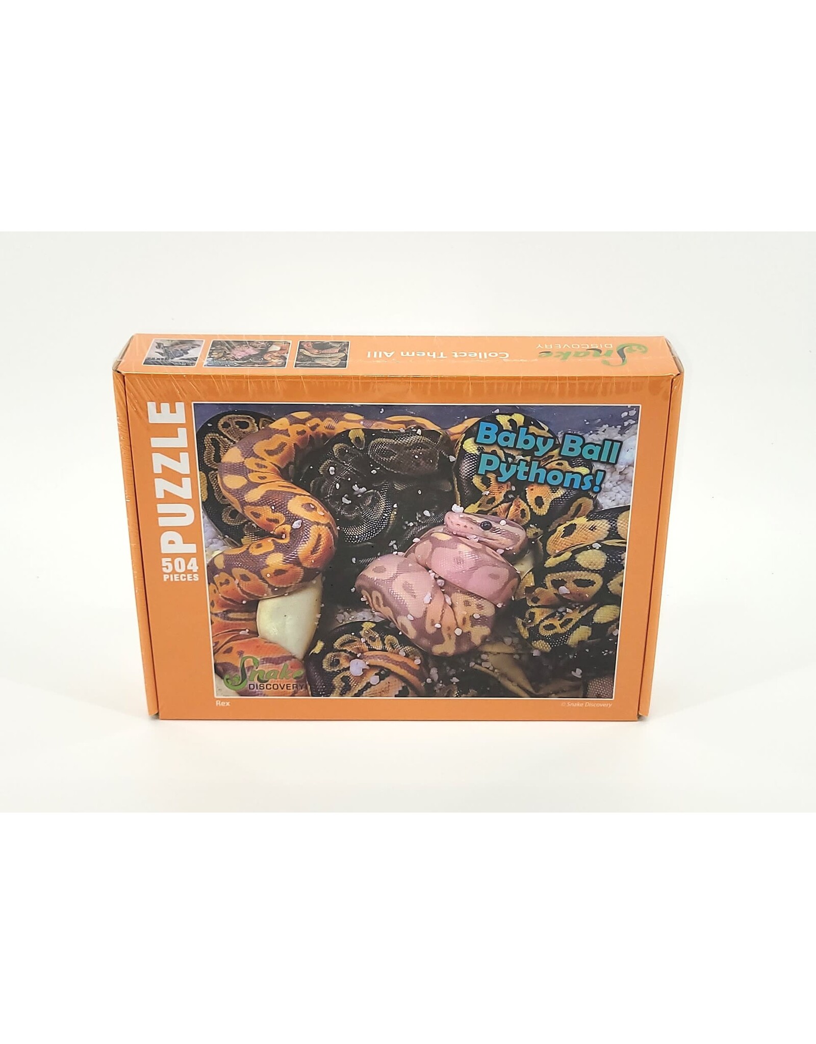 Snake Discovery Baby Ball Pythons Puzzle – 504 Pieces (Snake Discovery Exclusive)