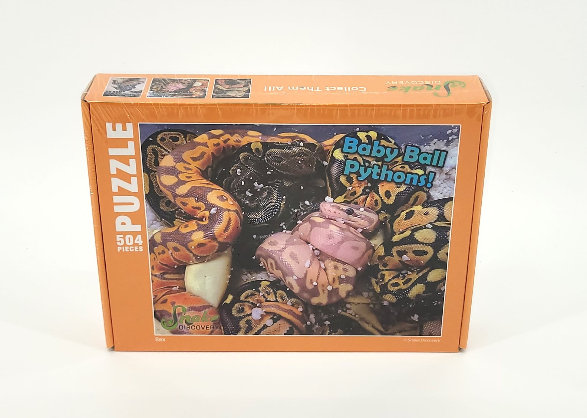 SD 504pc Baby Ball Python Puzzle - Snake Discovery