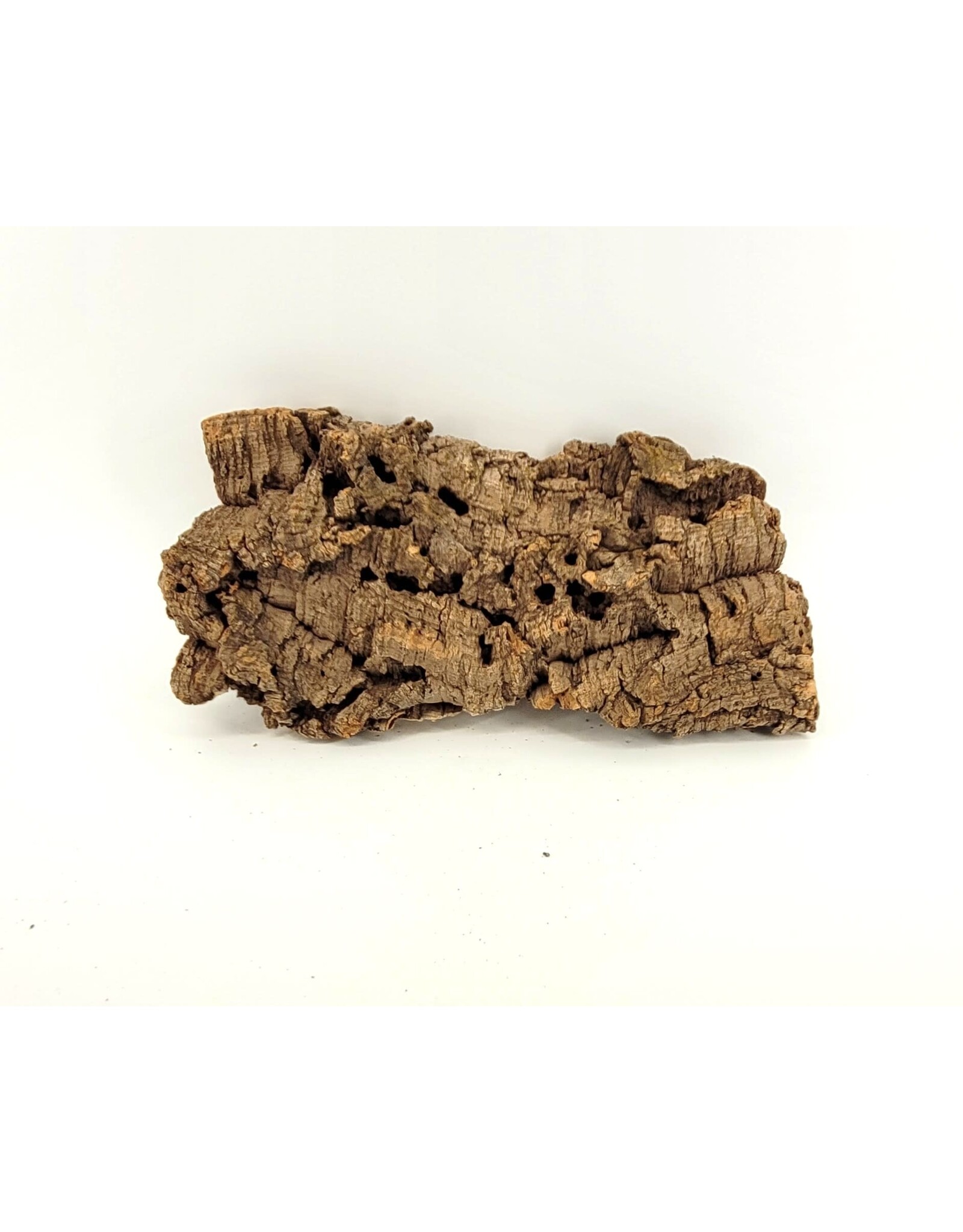 Cork Bark Flats Medium (12"-16")