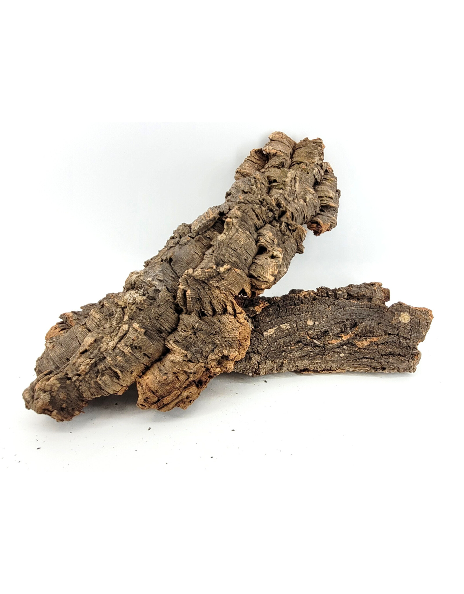 Cork Bark Flats Large (18"-22")